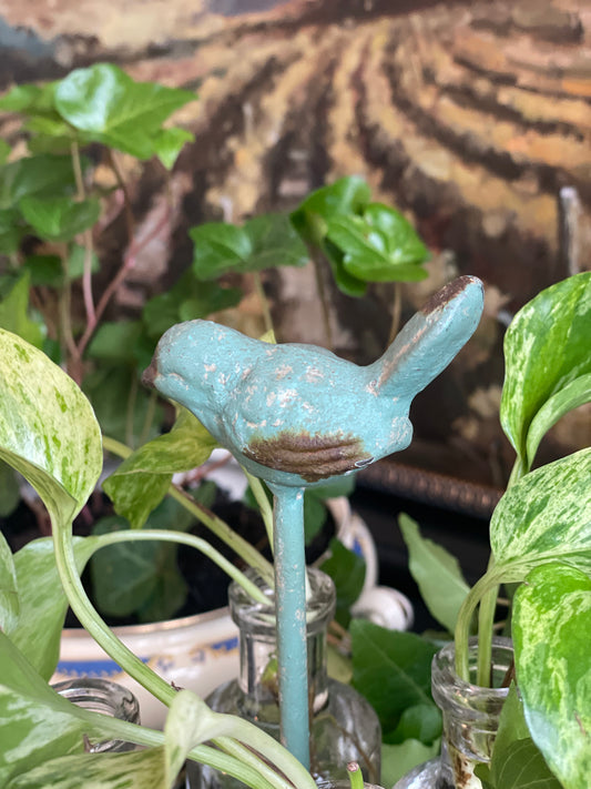 Bird Stand with Pothos