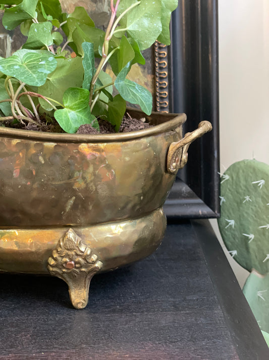 Brass Planter with Plant