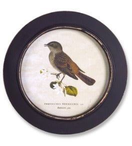 Round Framed Bird Print 1