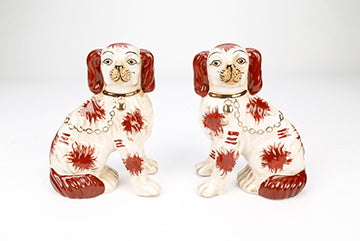 Brown And White Dogs With Chain