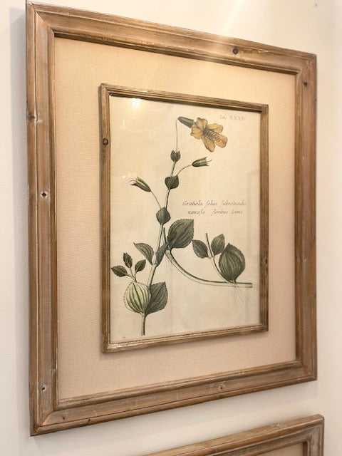 Floral Print 1 with Wood Frame