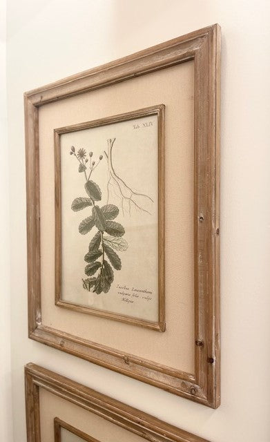 Floral Print 3 with Wood Frame