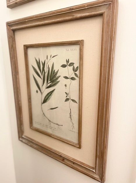 Floral Print 4 with Wood Frame