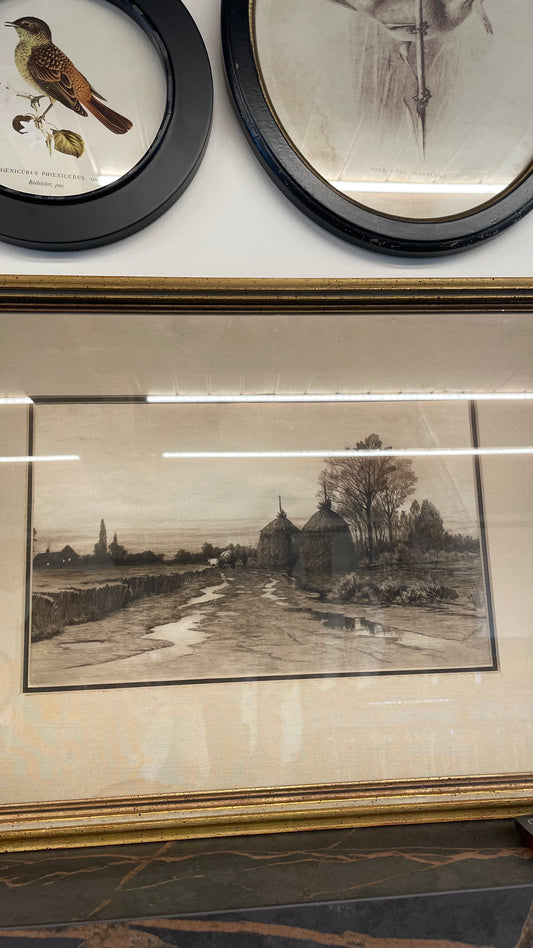 Vintage Framed Etching