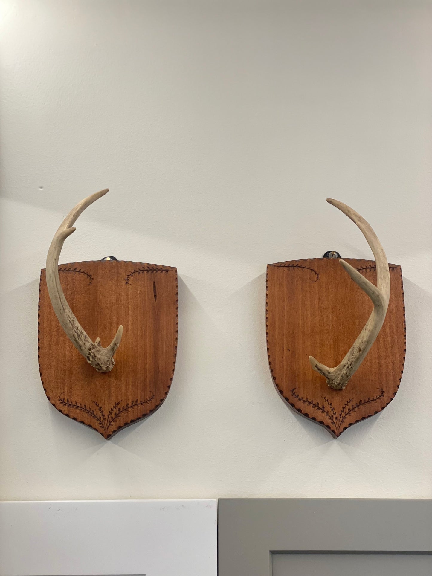 Pair of Mounted Antlers