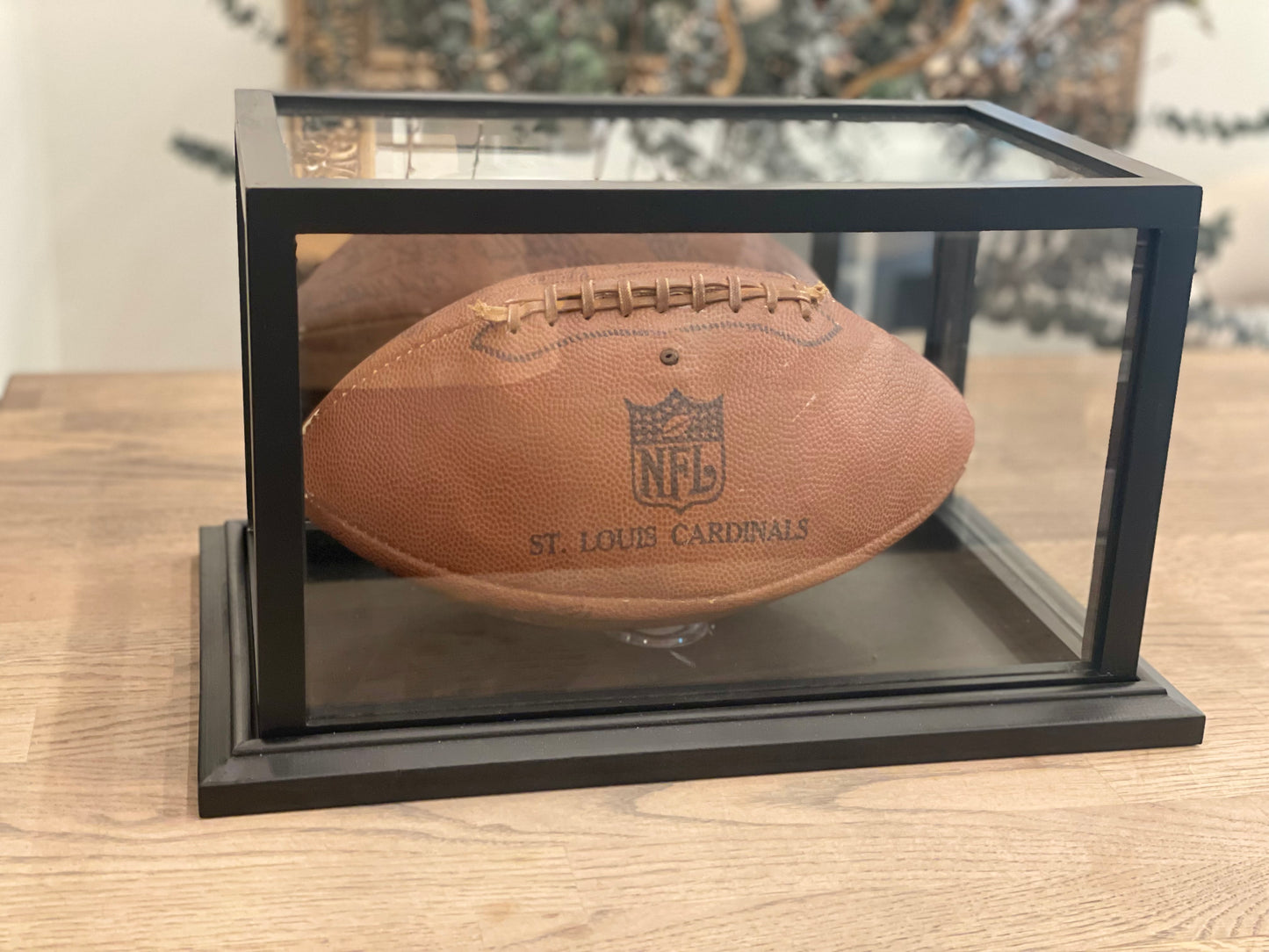 Signed Football with Display Case