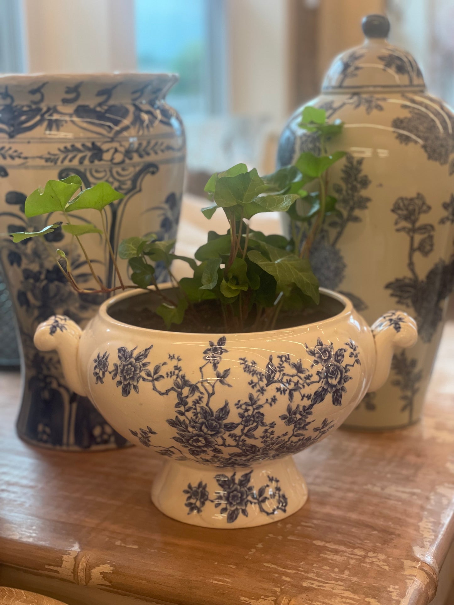 Blue/White Planter w Plant