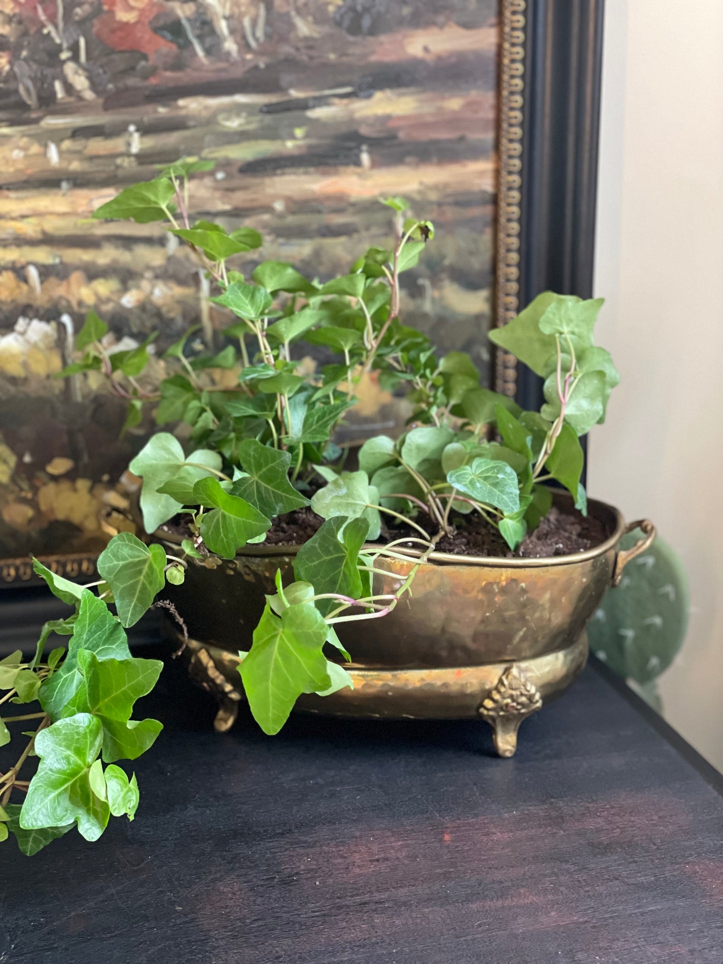 Brass Planter with Plant