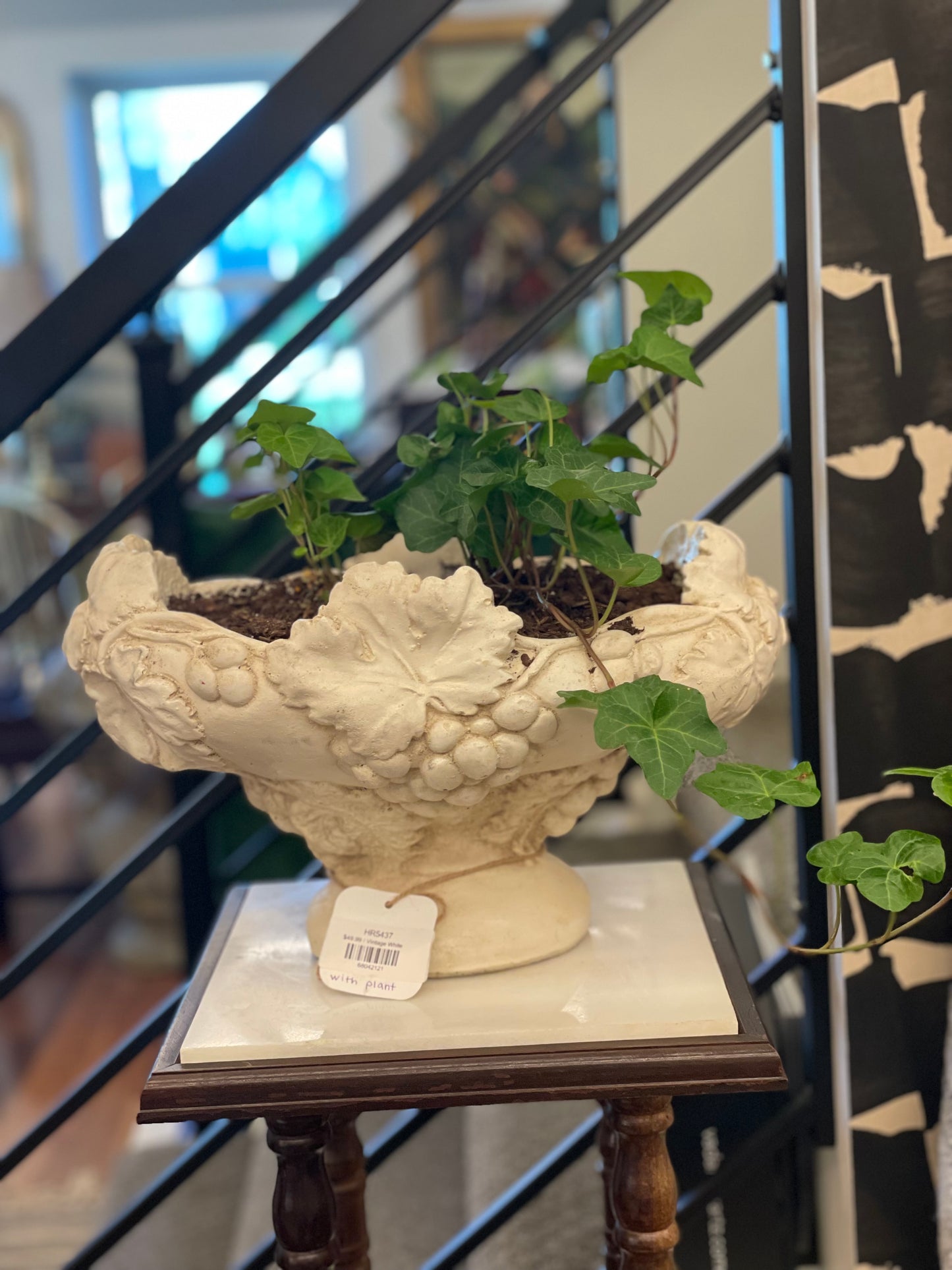 White Planter w Plant