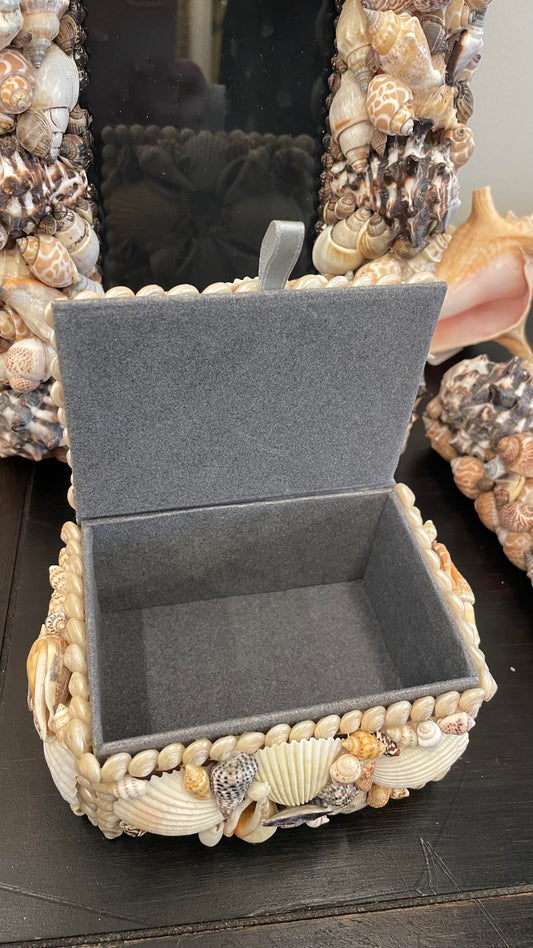 Seashell Jewlery Box