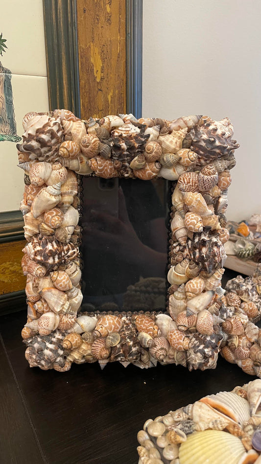 4x6 Seashell Picture Frame