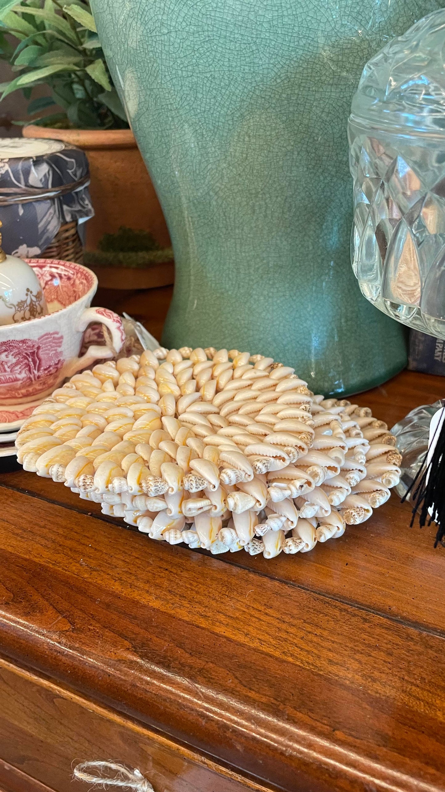 Handmade Seashell Trivet